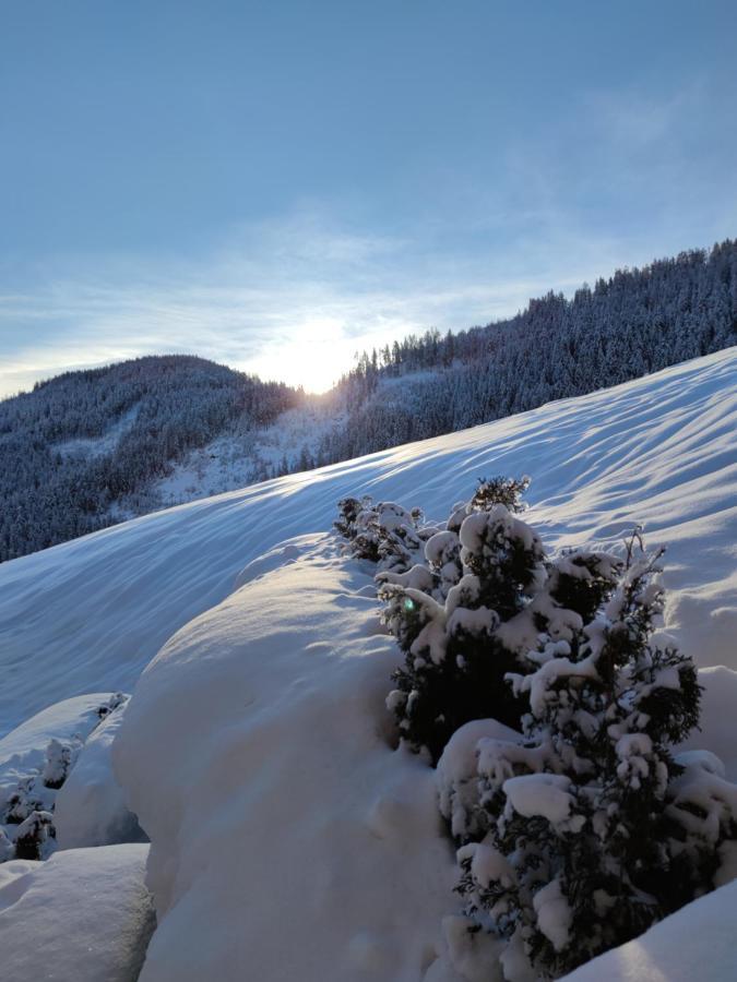 Batacoer - Natures Heartbeat San Vigilio Di Marebbe Exterior foto